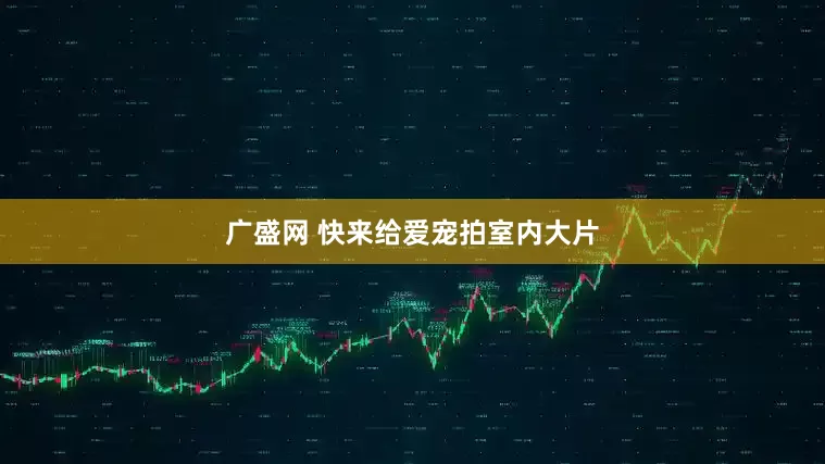 广盛网 快来给爱宠拍室内大片