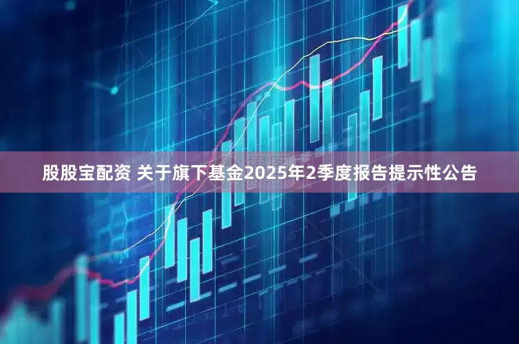 股股宝配资 关于旗下基金2025年2季度报告提示性公告